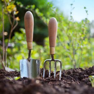 Buy Argentina Email Consumer Database By DIY and gardening enthusiasts