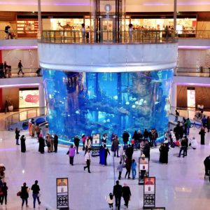 Buy Argentina Email Consumer Database List 122 000 Emails who have visited aquariums in Malls in Buenos Aires, Buy Germany Email Consumer Database List 125 000 Emails who have visited aquariums in Malls in Berlin
