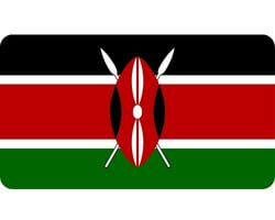 Buy Nairobi Consumer Emails Database List